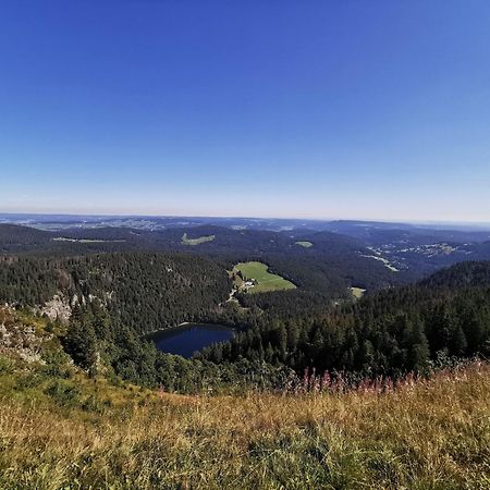 Fewo 1 - Residenz Schauinsland - Mit Sauna, E-Ladestation, Todtnauberg, Bei Feldberg Buitenkant foto