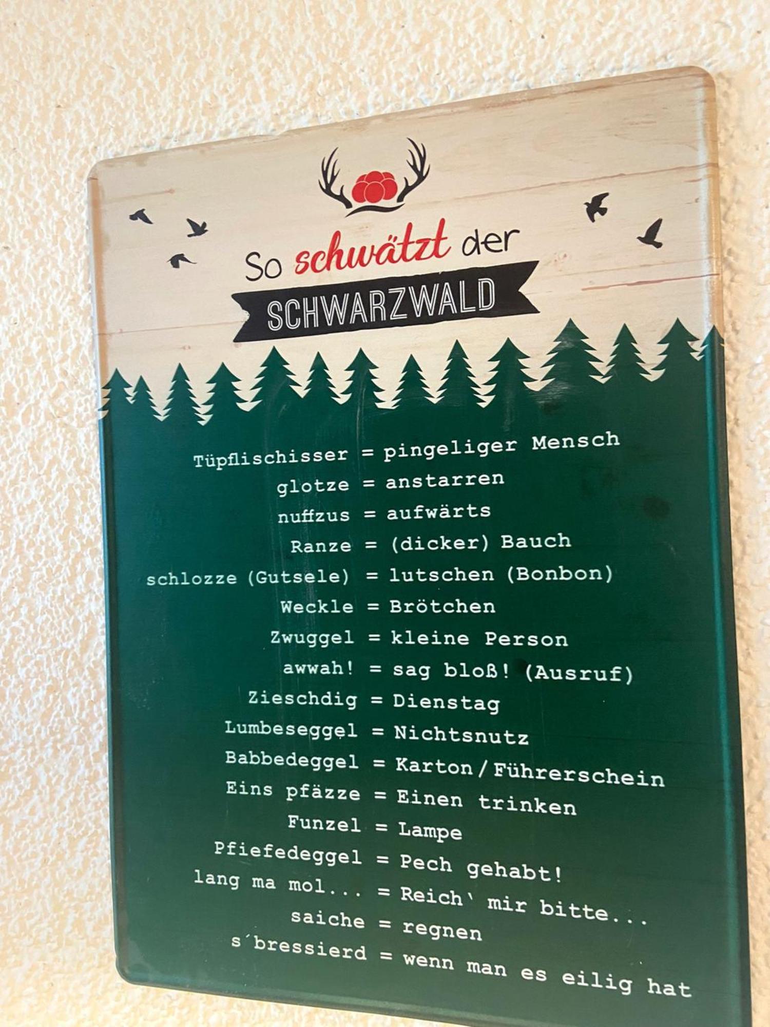 Fewo 1 - Residenz Schauinsland - Mit Sauna, E-Ladestation, Todtnauberg, Bei Feldberg Buitenkant foto